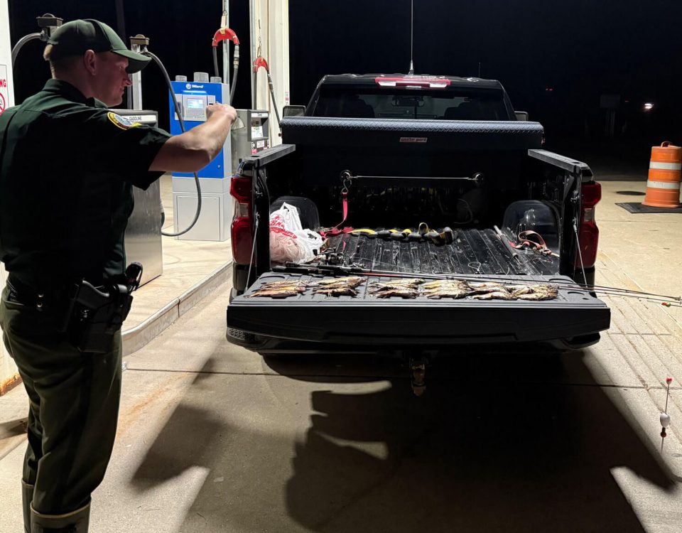 fish-poacher-nabbed-nh-fish-and-game-photo