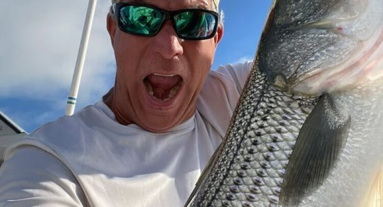 striped-bass-tr-stevewyman