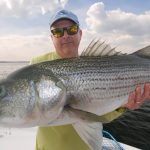 striped-bass-photo-tom-richardson