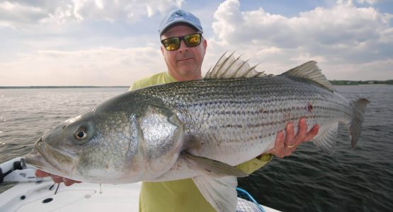 striped-bass-photo-tom-richardson