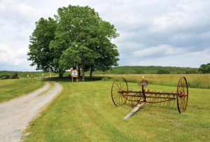 tiverton-az-pardon-gray-preserve