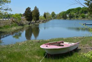 tiverton-az-pink-boat