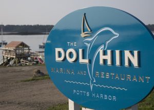 harpswell-jd-dolphin-700x500