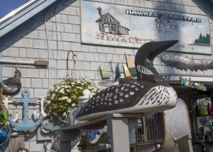 harpswell-jd-hawkes-gifts-700x500