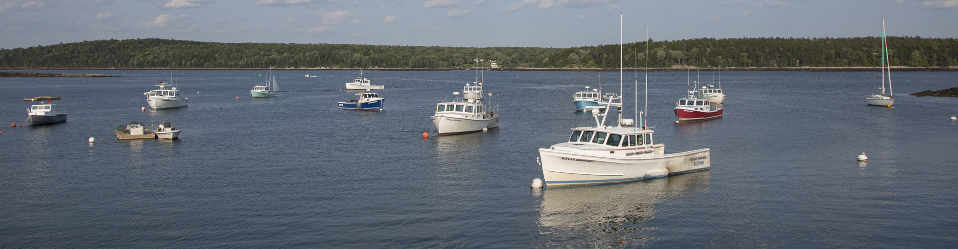 harpswell-jd-top-image