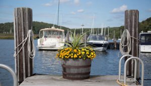 old-lyme-cd-dock-flowers-700x400