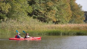 old-lyme-cd-paddlers-700x400