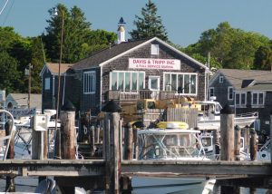 padanaram-tr-davis-tripp-700x500