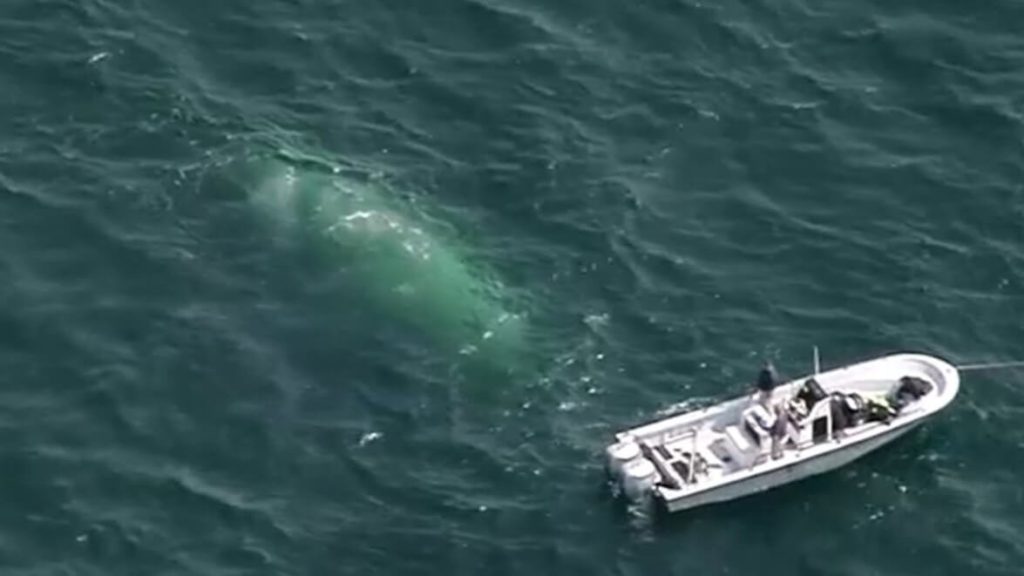 Missing Boat, 2 Bodies Found Off Cape Cod