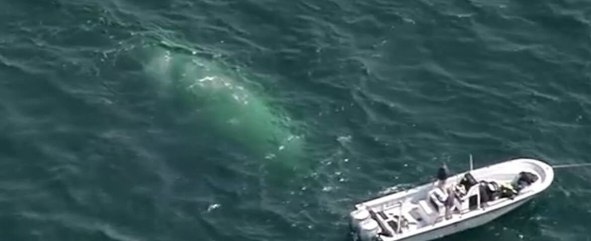 missing-fishing-boat-found-cape-cod