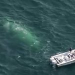 missing-fishing-boat-found-cape-cod