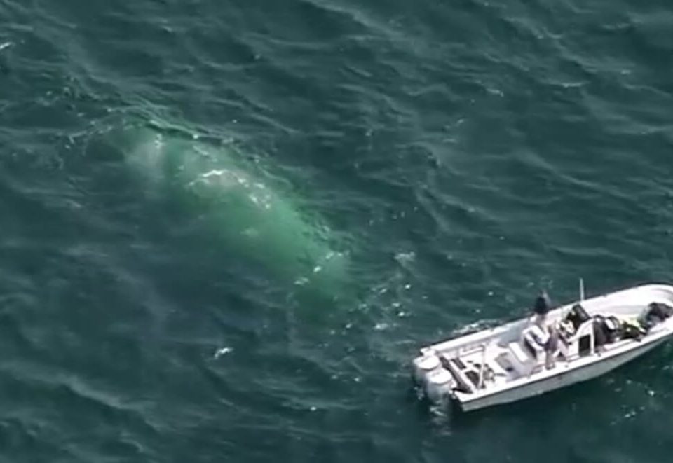 missing-fishing-boat-found-cape-cod