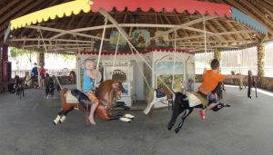 watchhill-napatree-eb-carousel-700x400