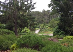 edgartown-nef-my-toi-gardens-700x500