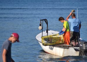 georgetown-jd-pulling-in-traps