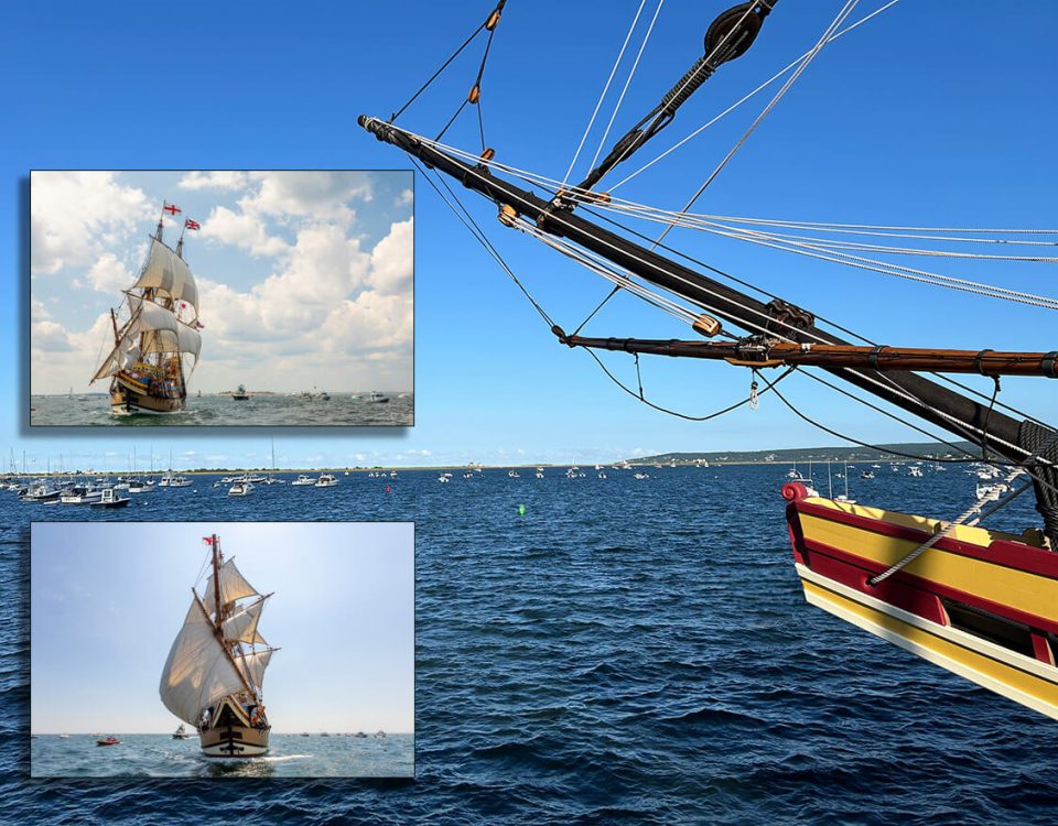 mayflower-2-plim-pawtuck-inset-dauer-background