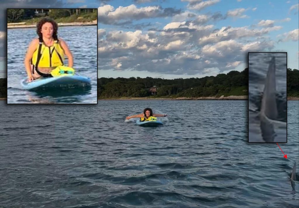 Cape Paddleboarders Have Close Encounter With Great White