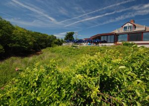 harwich-port-tr-brax-landing-restaurant