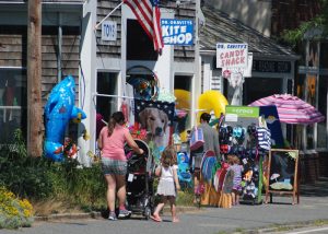 harwich-port-tr-dr-gravity-kite-shop