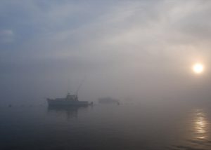 mattapoisett-tr-morning-fog