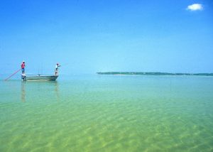 Some great fishing can be found around the island. monomy-island-tr-fishing