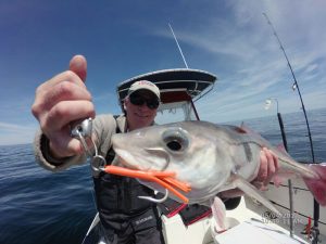 provincetown-fishing-haddock-neb