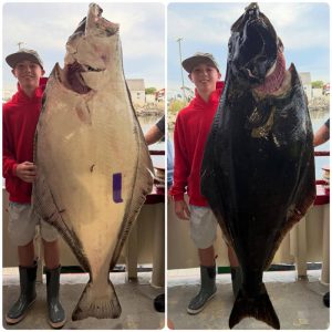 halibut-record-photo-al-gauron-deep-sea-fishing