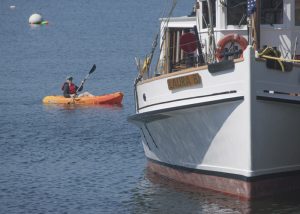 port-clyde-jd-kayaker