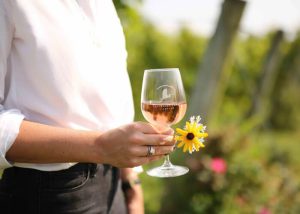 saltwater-farm-vineyard-photo-3