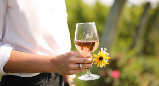 saltwater-farm-vineyard-photo-3