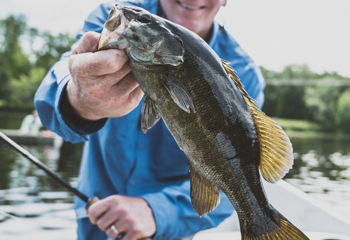 smallmouth-bass-tom-richardson-penobscot-river