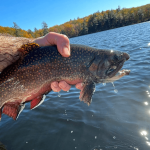 trout-stocking-ct-fish-and-wildlife-3