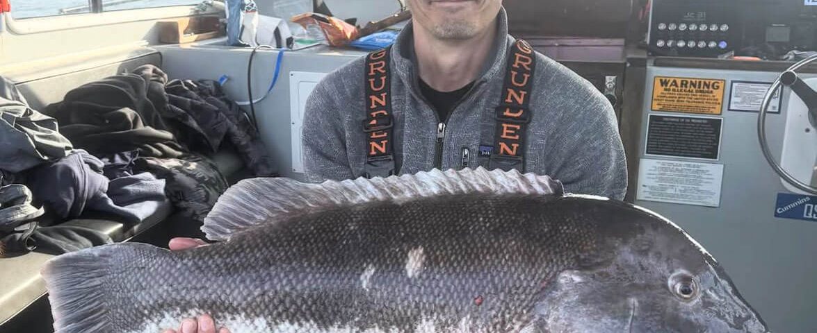 tautog-record-vlad-vaynshten-photo-tall-tailz-charters