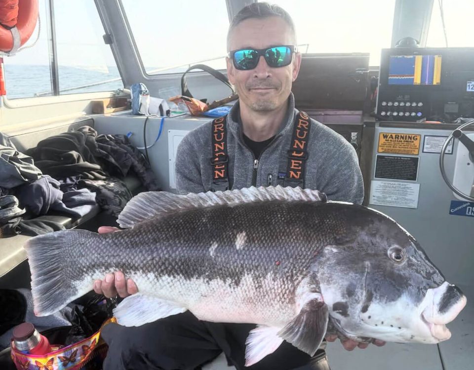 tautog-record-vlad-vaynshten-photo-tall-tailz-charters