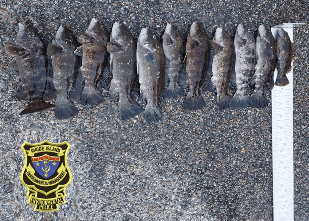 3 Fish Poachers Busted In Rhode Island