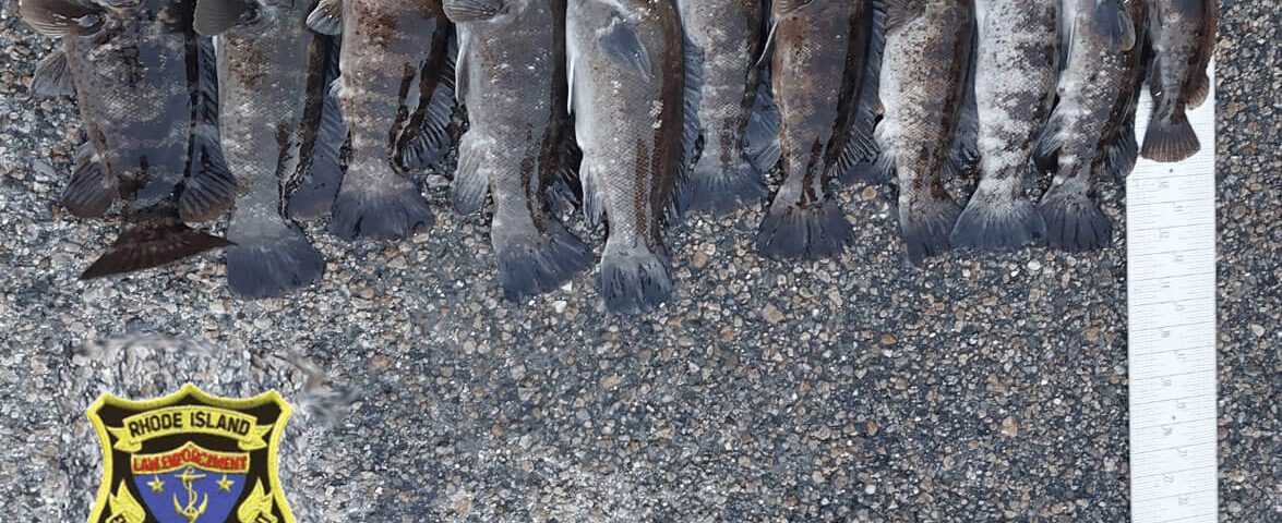tautog-poachers-photo-ri-dep-environmental-management