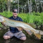 muskie-featured-ct-fish-wildlife-photo-1584x485