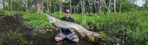 muskie-featured-ct-fish-wildlife-photo-1584x485