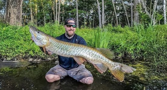 muskie-featured-ct-fish-wildlife-photo-1584x485