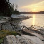 seal-bay-maine-coastal-heritage-trust