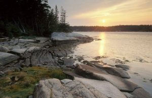 seal-bay-maine-coastal-heritage-trust