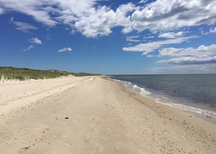 cape-cod-escapes-sampsons-island-mass-audubon-photo