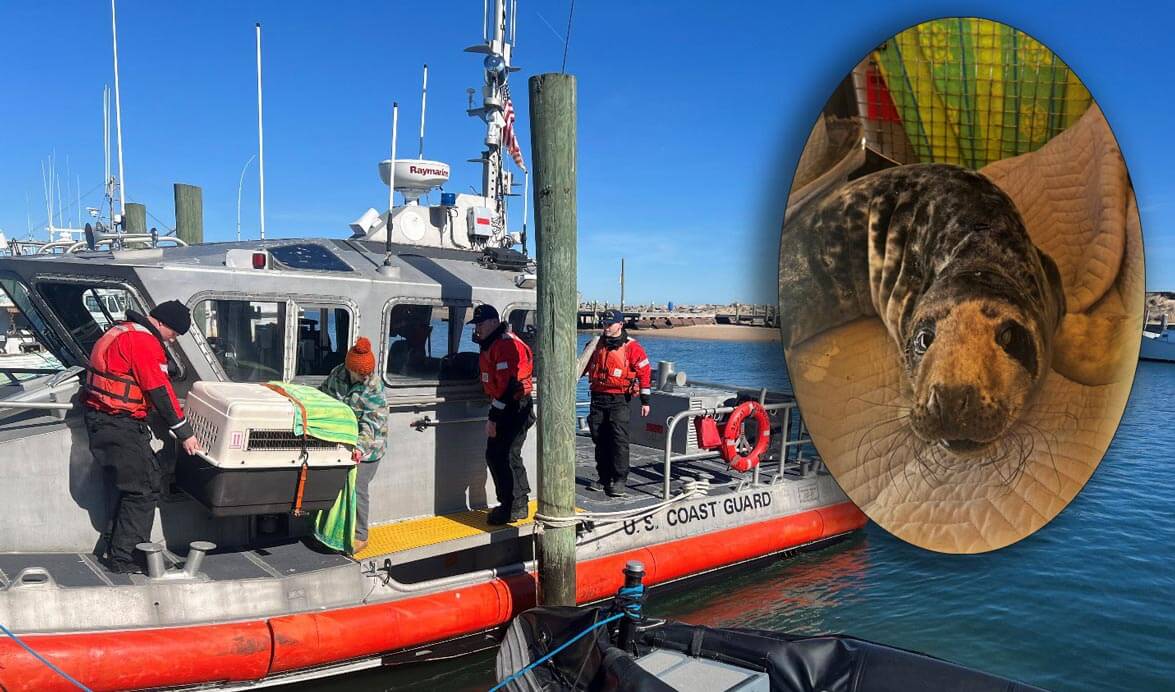 coast-guard-seal-rescue-block-island
