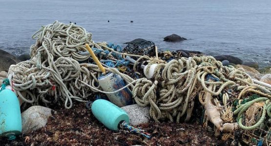 marine-debris-ma-dmf-photo-featured-1584x485
