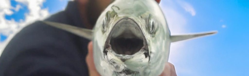 Fishing Marion, Massachusetts