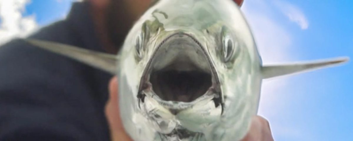 marion-featured-tr-phooto-1584x485