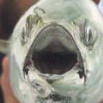 marion-featured-tr-phooto-1584x485