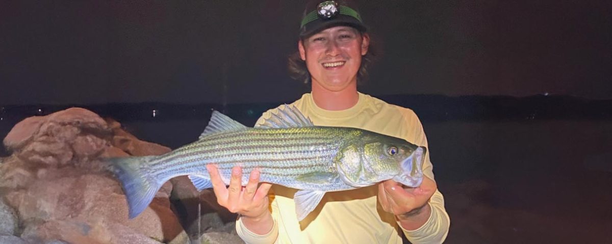 striped-bass-nhfish-game-featured-1584x485