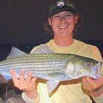 striped-bass-nhfish-game-featured-1584x485