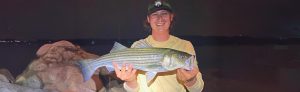 striped-bass-nhfish-game-featured-1584x485
